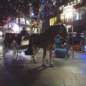 Meet your Posher, Sandra